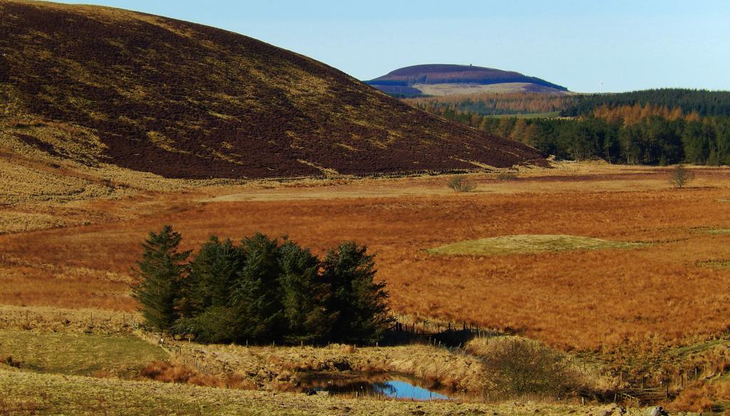 Scotland Paradise Relax Accommodation By Shooting Club Kirriemuir Balintore  Zewnętrze zdjęcie