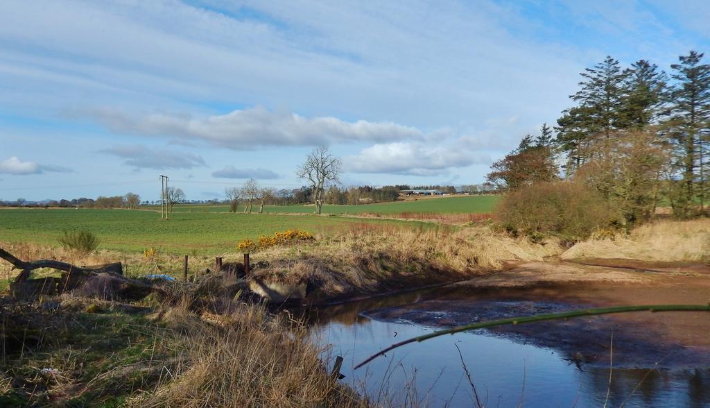 Scotland Paradise Relax Accommodation By Shooting Club Kirriemuir Balintore  Zewnętrze zdjęcie