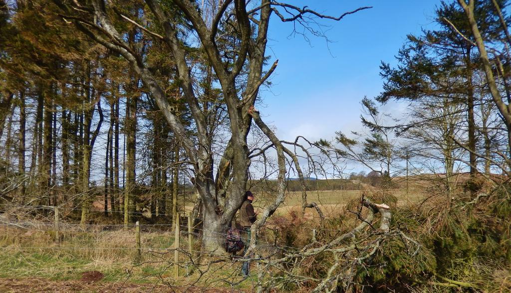 Scotland Paradise Relax Accommodation By Shooting Club Kirriemuir Balintore  Zewnętrze zdjęcie